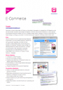 screenshot arbeitsproben 2008